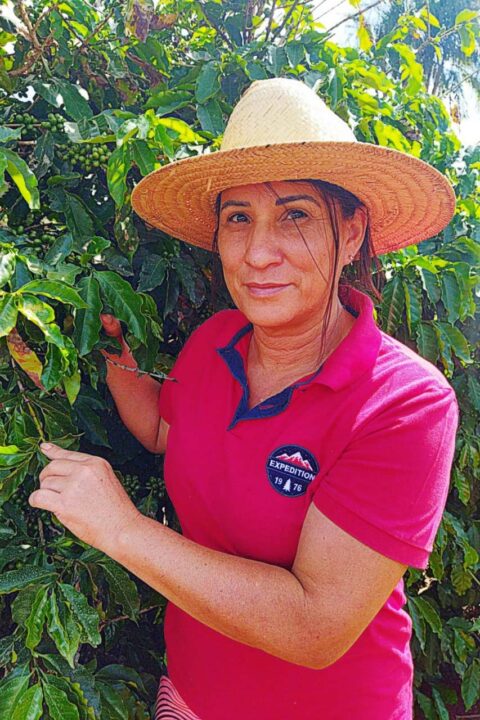 Feira Sabores do Paraná reunirá trajetórias inspiradoras e produtos premiados 9 12 1 - Saiba Já News