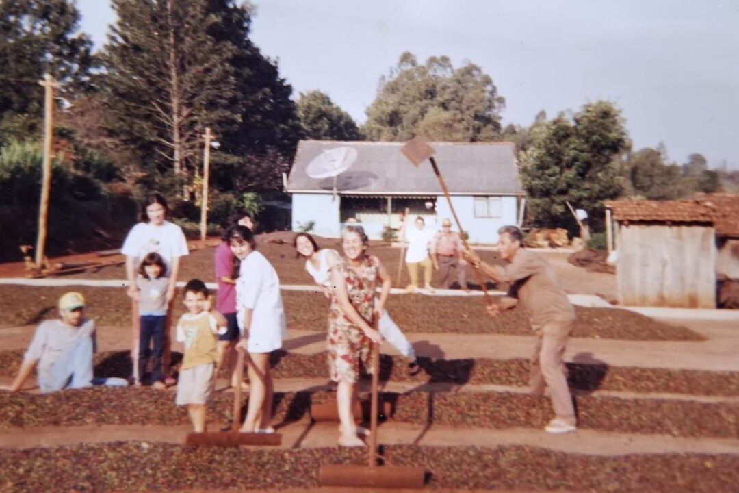 Feira Sabores do Paraná reunirá trajetórias inspiradoras e produtos premiados 16 14 1 - Saiba Já News