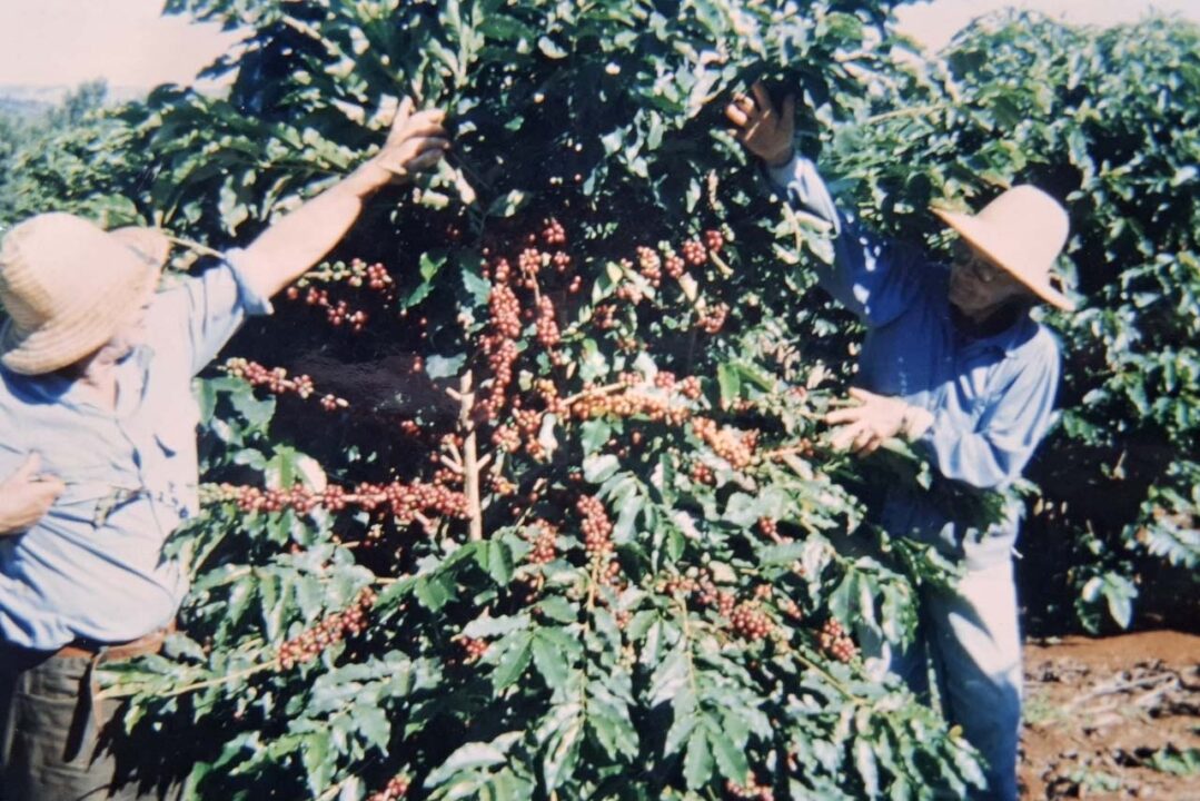Feira Sabores do Paraná reunirá trajetórias inspiradoras e produtos premiados 14 16 2 - Saiba Já News