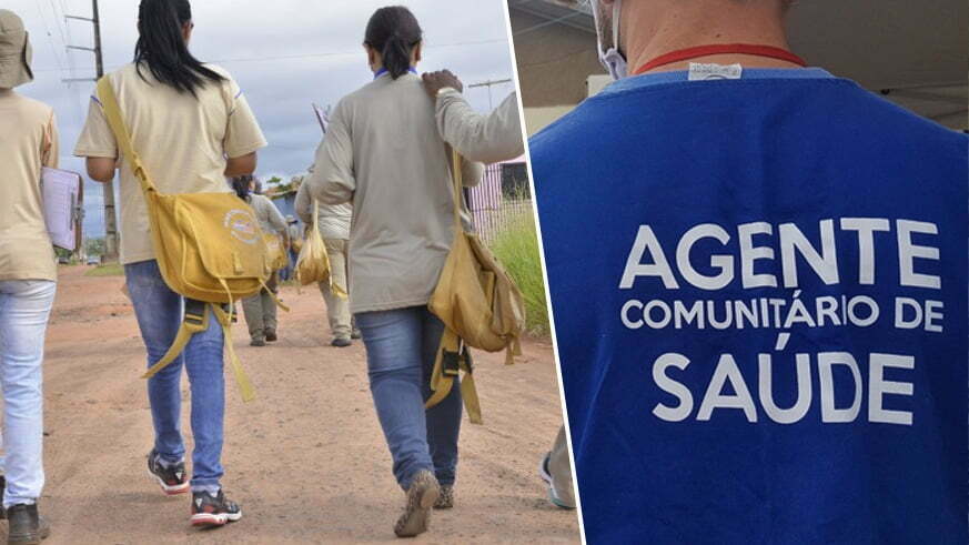 agentes comunitários de saúde e os agentes de combate às endemias como profissionais de saúde.