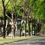 Defesa Civil arborização servidores segurança