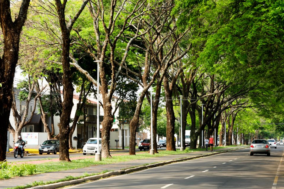 Defesa Civil arborização servidores segurança