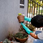 Secretaria Saúde prevenção dengue maringá