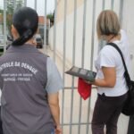 combate à dengue