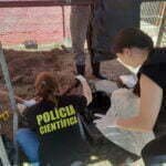 Polícia Científica identificou um cemitério clandestino com ossadas