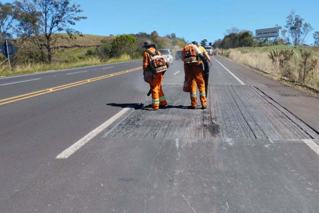 Rodovia estadual de Mandaguari recebe serviços de conservação, pintura e roçada