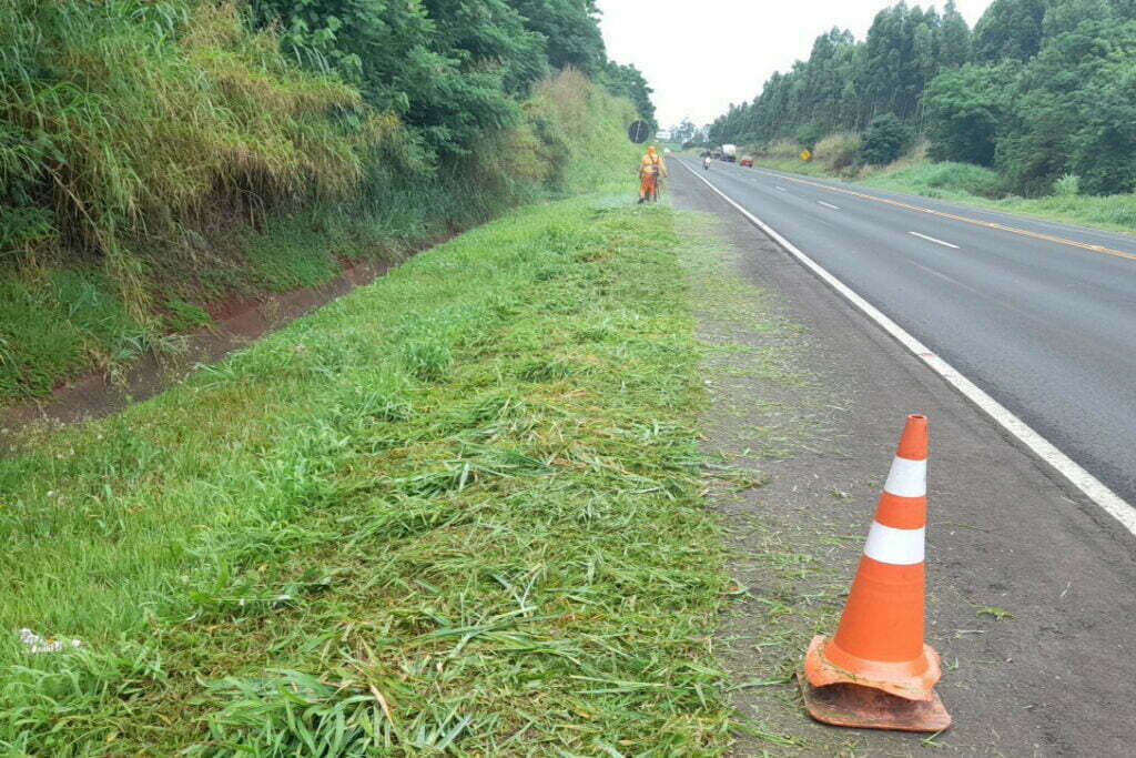 Rodovia estadual de Mandaguari recebe serviços de conservação, pintura e roçada