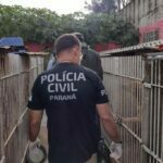 PCPR salva 300 cães na maior ação de resgate animal da história do Paraná