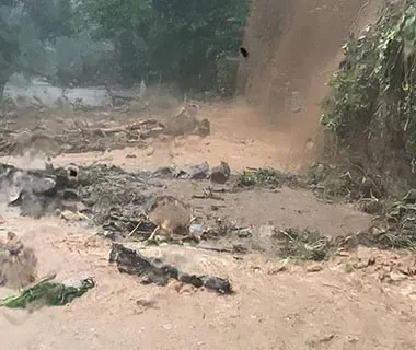 Deslizamento em Ubatuba mata criança