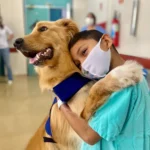 Visita de animais em hospitais