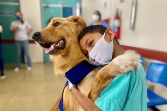 Visita de animais em hospitais | Saiba Já News