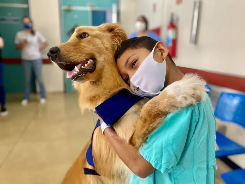 Visita de animais em hospitais | Saiba Já News