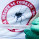 Dengue