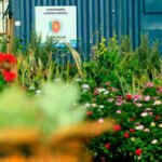 Festa das flores em Maringa
