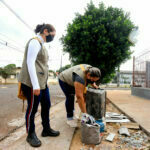 combate à dengue