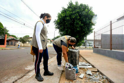 combate à dengue