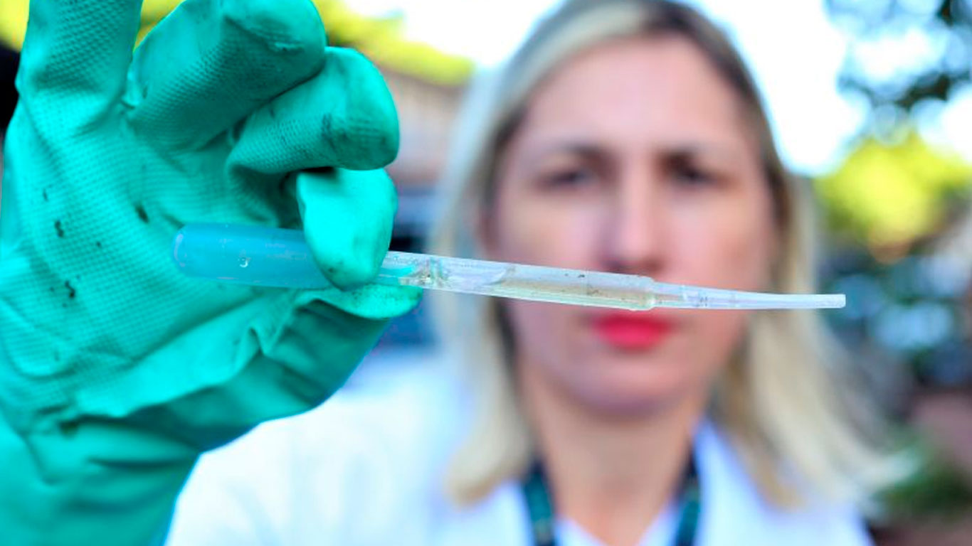 Combate à dengue