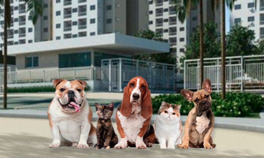 Maus tratos a animais em condominios