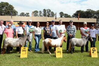 Mostra de Mini Horse engrandece primeiro fim de semana da Expoinga 2023 | Saiba Já News