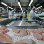 Paraná bate recorde! Exportações de carnes in natura disparam 20,8% e atingem US$ 1,56 bilhão em 2025. Destaque para carne de frango, suína e bovina. Confira os principais destinos e o panorama do comércio exterior paranaense.