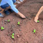 Projeto aproveita resíduos de origem animal para produzir alimentos saudáveis