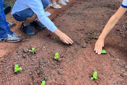 Projeto aproveita resíduos de origem animal para produzir alimentos saudáveis