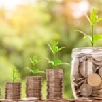 Pesquisa Deloitte IBRI demonstra importância de padronização de indicadores ESG