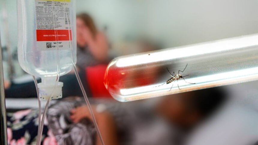 Morte-por-dengue