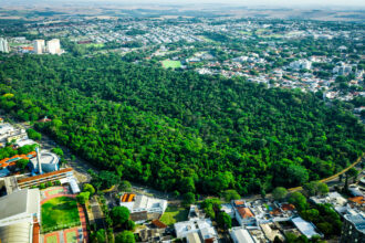 Semana do Meio Ambiente