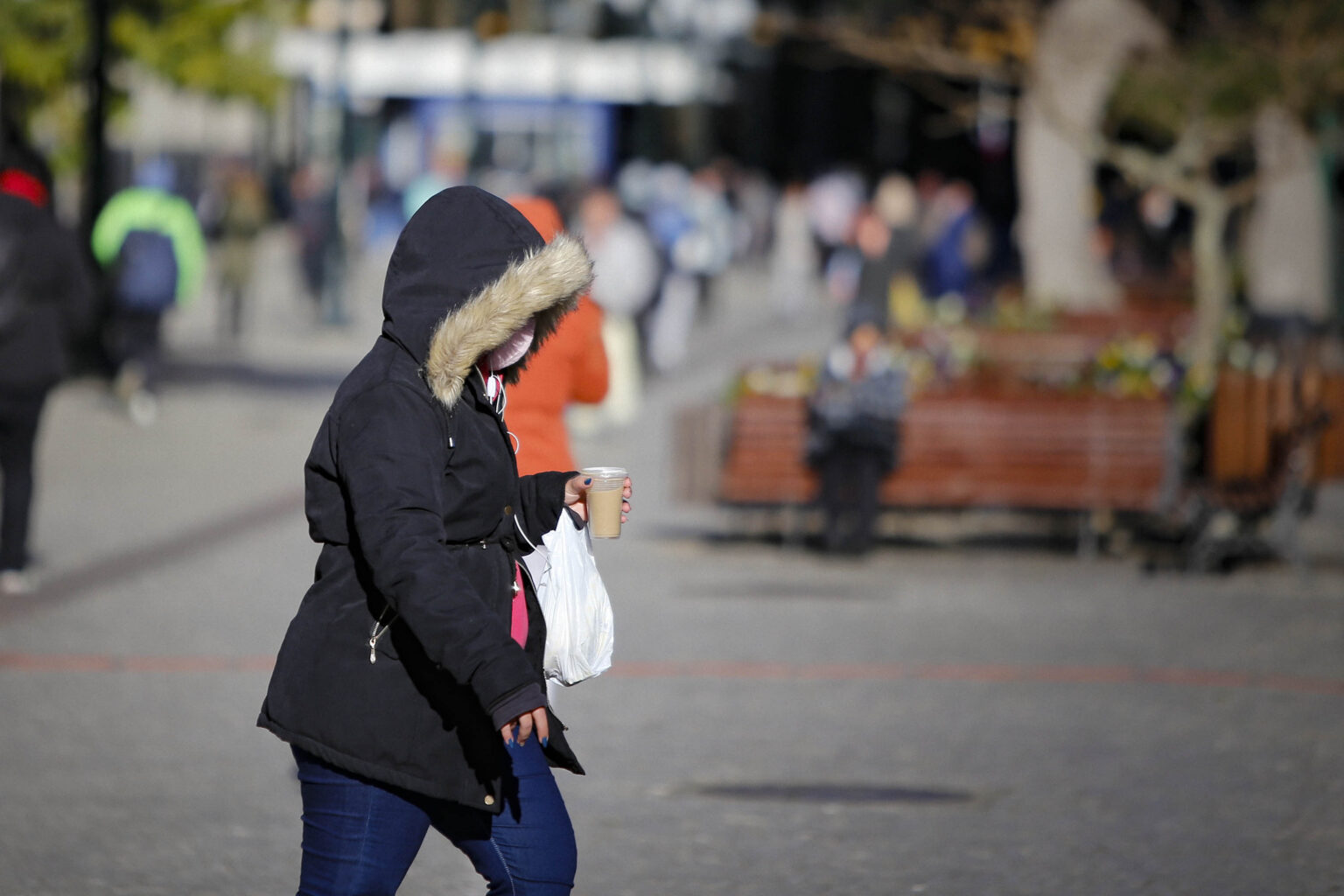Frio