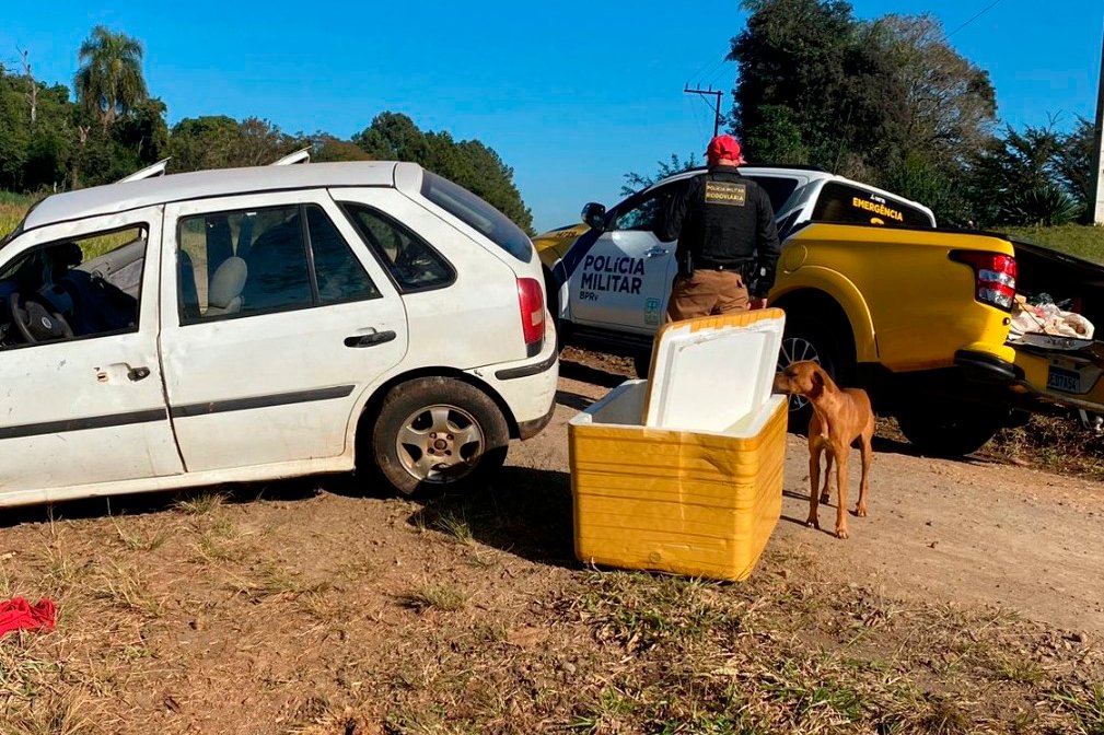 Tentou fugir e capotou! Polícia prende carros com centenas de quilos de maconha 4 whatsapp image 2023 06 28 at 09.23.12