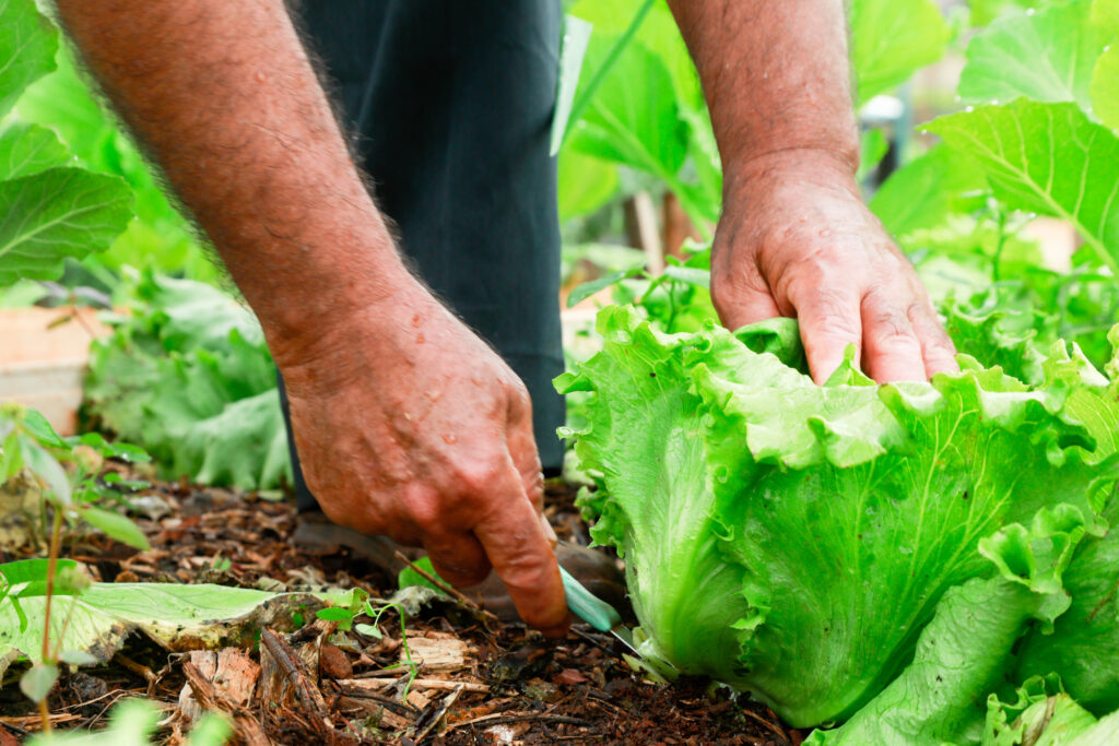 Semana do Agricultor 2023