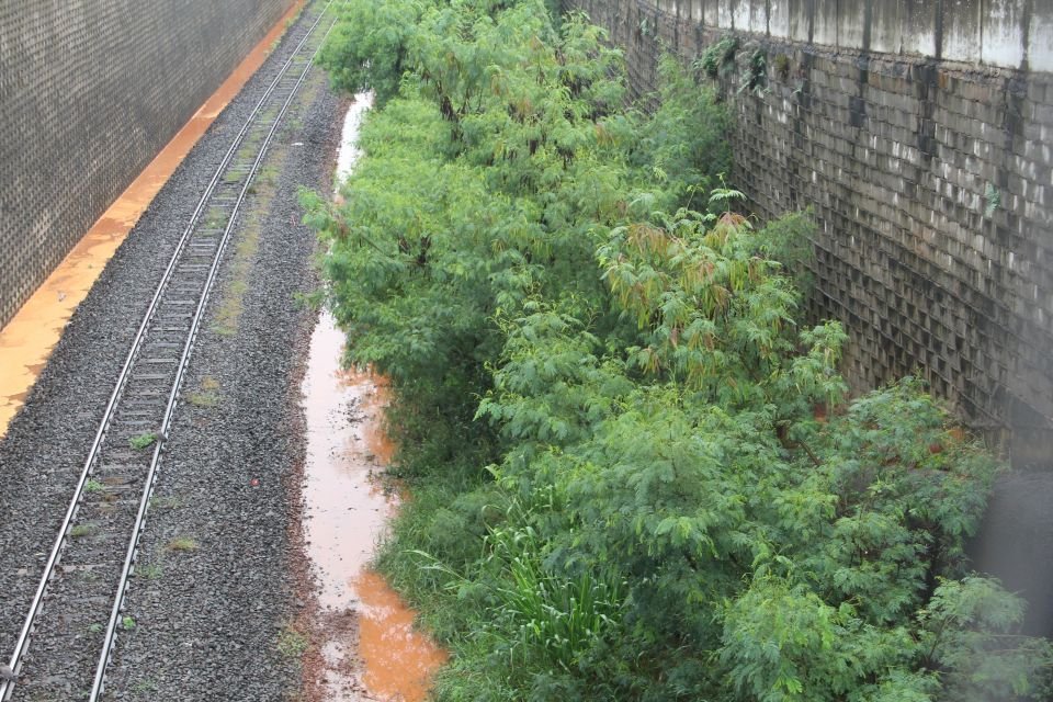 Procon multa concessionária em R$ 220 mil por falta de manutenção em linha férrea 3 gd 7e572d115e01