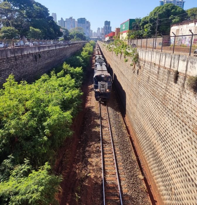 Procon multa concessionária em R$ 220 mil por falta de manutenção em linha férrea 6 gd eb012cc1485e