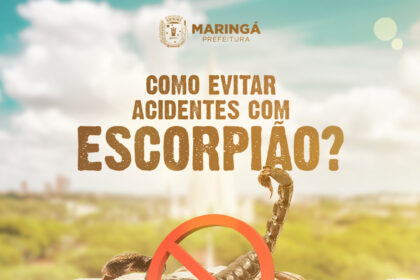 campanha para prevenção de acidentes com escorpiões