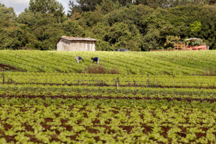 Governo do Paraná publica edital de R$ 31,5 milhões para apoiar agricultura familiar