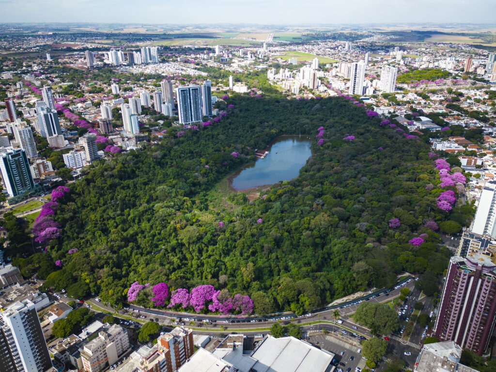 Parque do Ingá