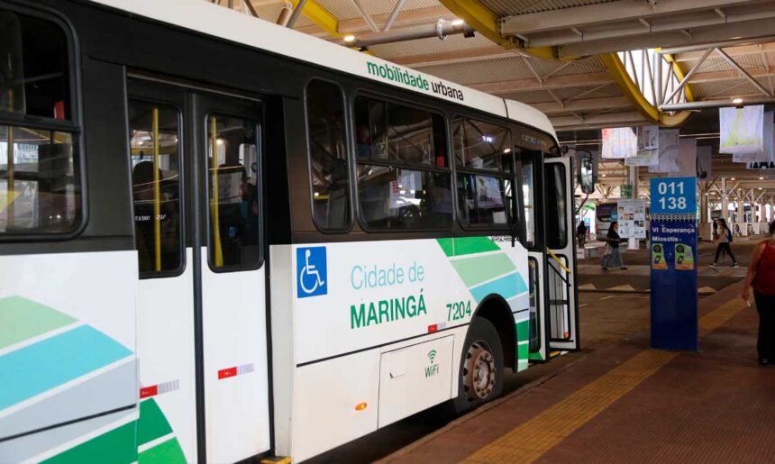 Transporte Coletivo de Maringá, ônibus da TCCC