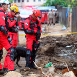 Paraná manda mais sete bombeiros e três cães para ajudar o Rio Grande do Sul