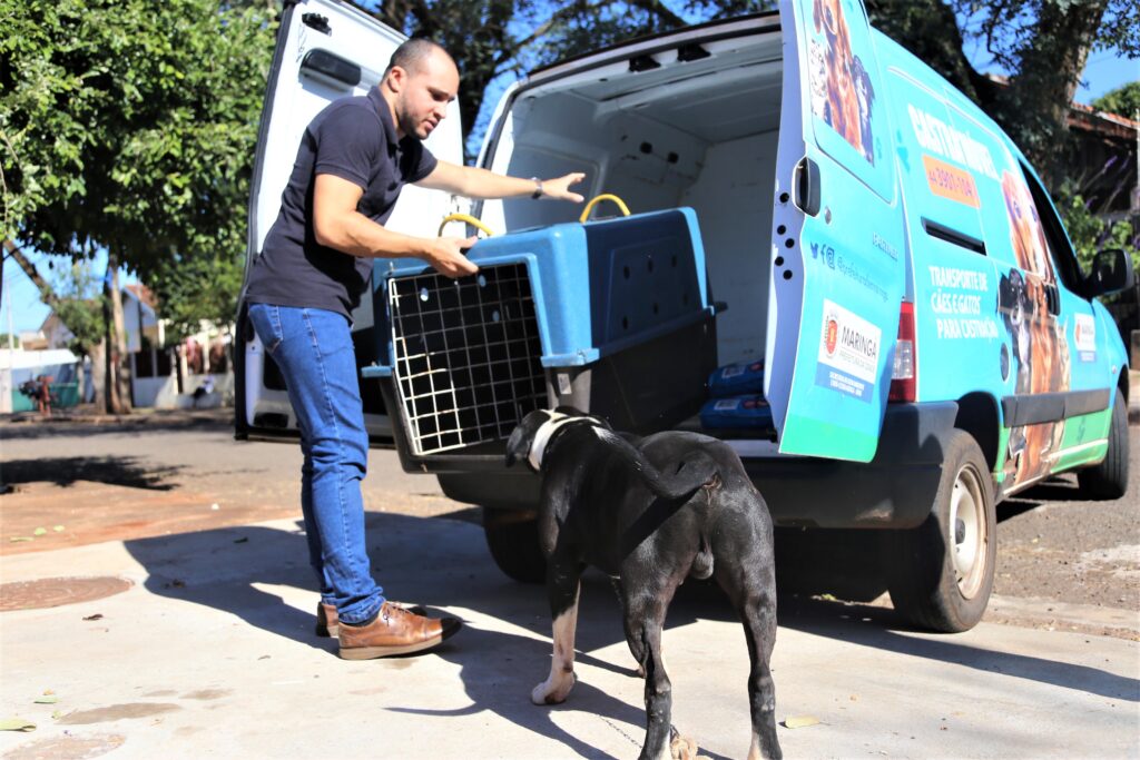 Desde 2017, quando a causa animal foi institucionalizada como política pública municipal, mais de 1,7 mil animais conseguiram novos lares.