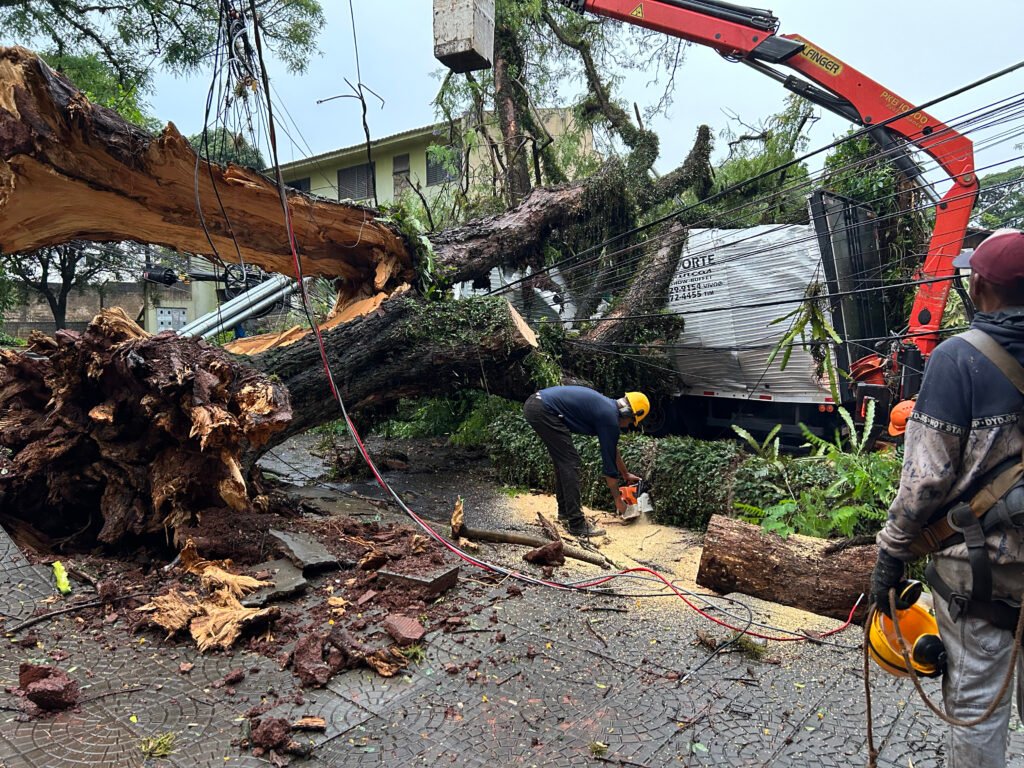 Após Temporal | Energia é restabelecida em cerca de 80% das unidades atingidas; Prefeitura intensifica limpeza e retirada de árvores 2 212f9c14ce7e