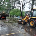 Prefeitura coloca mais de 250 servidores nas ruas, em mutirão para desobstrução de vias após temporal; telefone 156 está ativo