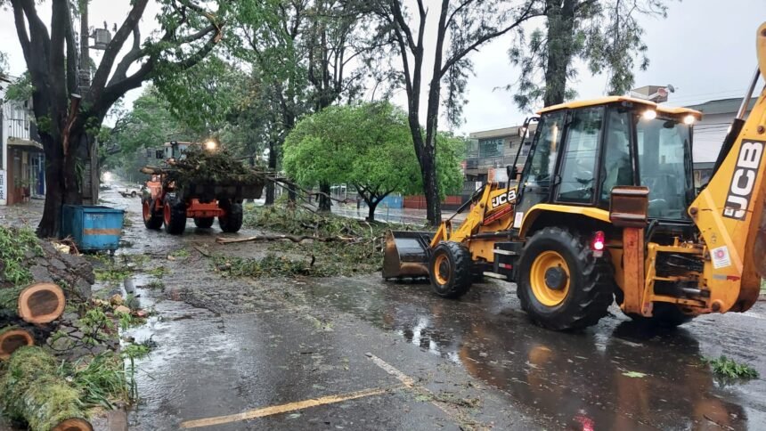 Prefeitura coloca mais de 250 servidores nas ruas, em mutirão para desobstrução de vias após temporal; telefone 156 está ativo