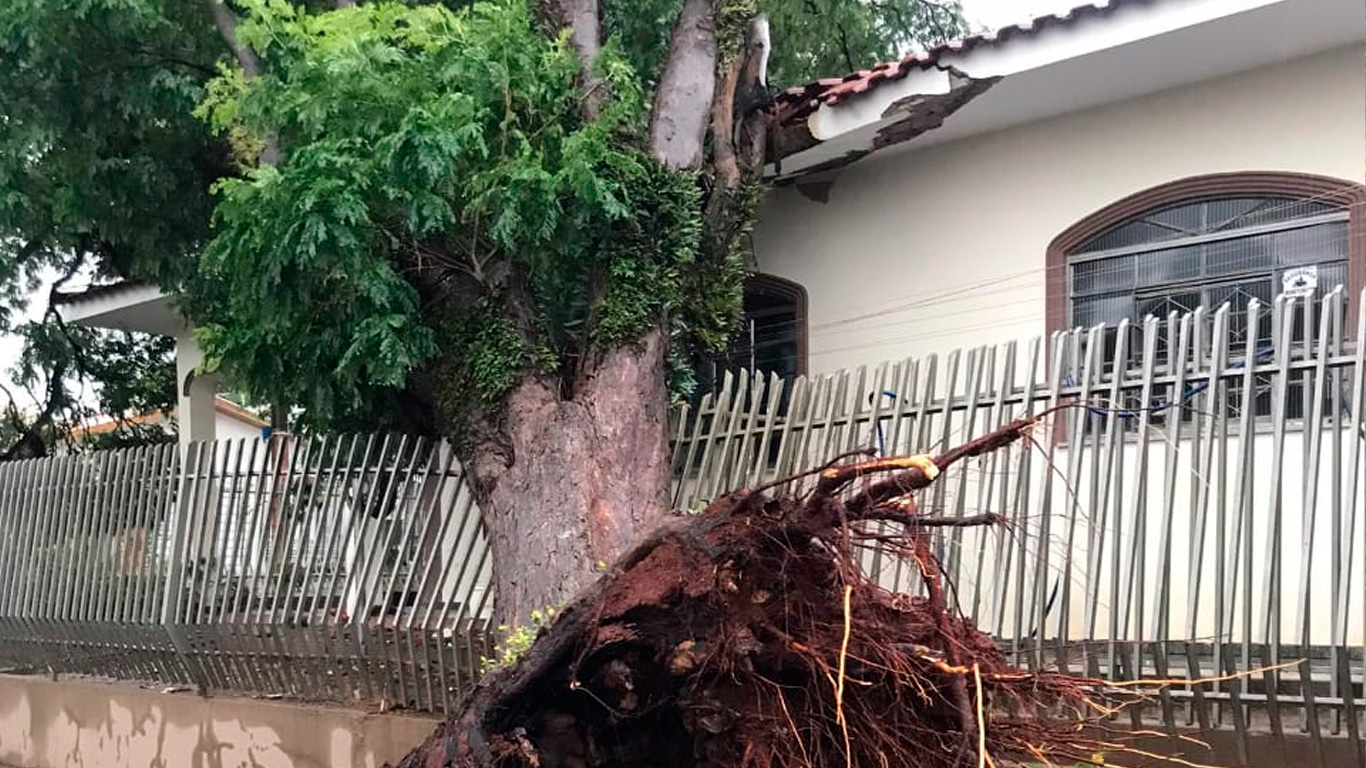 Árvore-cai-sobre-casa-em-Maringá