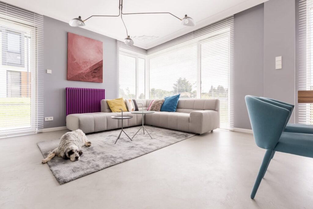 Pets em apartamento: confira dicas para ter um ambiente pet friendly 2 WhatsApp Image 2023 10 04 at 16.35.17