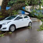 Carro atingido por árvore em Maringá