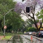 Prefeitura de Maringá emite comunicado após o temporal que atingiu a cidade