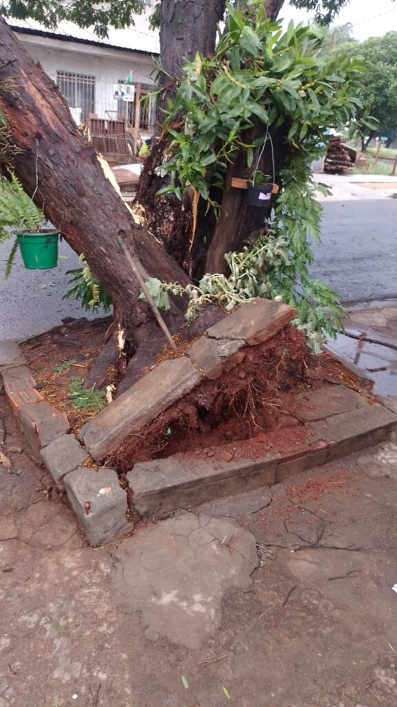 Maringá enfrenta Consequências de Forte Temporal - Gabinete de Gestão de Crises está atuando 18 WhatsApp Image 2023 10 07 at 19.13.15
