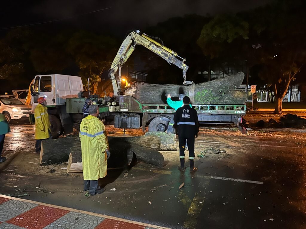 Mais de 350 toneladas de galhos e troncos já foram recolhidos; Copel e Prefeitura atuam juntas na retirada de árvores e restabelecimento de energia elétrica 2 bb46adaadf81