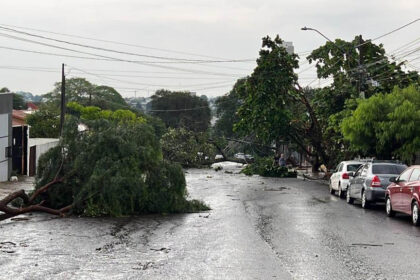 Paraná tem 3,7 mil famílias afetadas por temporais; Simepar detalha tornado de Cascavel Foto: Copel